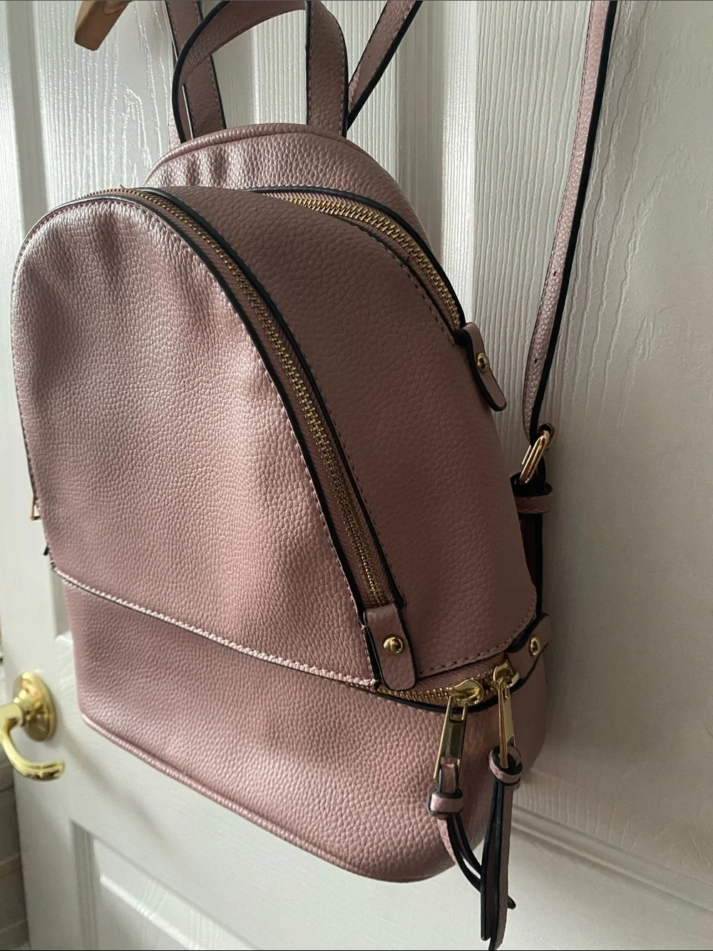 Blush Pink Mini Backpack with Gold Hardware and Striped Lining.
